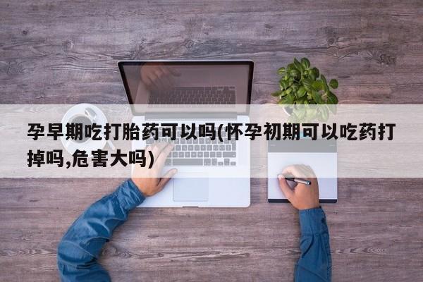 网上米索前列醇在线下单孕早期吃打胎药可以吗(怀孕初期可以吃药打掉吗,危害大吗)